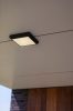 Lutec Helena kültéri fali/mennyezeti lámpa, 20W LED, 4000K, 1500 lm, IP54