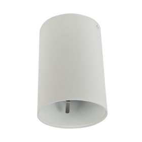 Azzardo Remo WH mennyezeti lámpa, 1x50W GU10