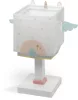 Dalber Little Unicorn 64591 gyerek asztali lámpa, 1x8W E14 LED