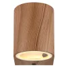 Globo VERONIKA 34163-1W kültéri falilámpa, 1x35W GU10, IP44