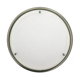   Prezent Neptun 424 fürdőszobai mennyezetlámpa, 1x60W E27, IP44