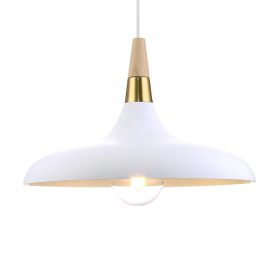 Prezent TRIER 46309 függeszték, 1x40W E27