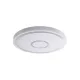 Prezent MISTRAL 71341 mennyezetlámpa, 36W LED. 4000K, 3960 lm