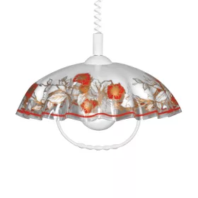 Prezent LYRA ACRYL 74197D02 függeszték, 1x60W E27