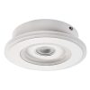 Rábalux Taneli 6959 fali/mennyezeti lámpa, 20W LED, 3000K-4000K-6000K, 1300 lm