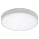 Rábalux Tartu 7894 kültéri mennyezetlámpa, 24W LED, 2800-4000-6000K, 2500 lm, IP44