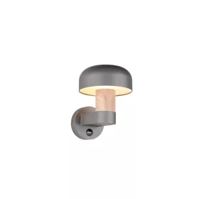 Trio FRASER 262569135 kültéri falikar 