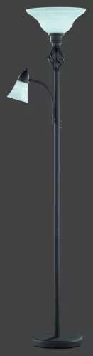 Trio RUSTICA 4602021-24 állólámpa