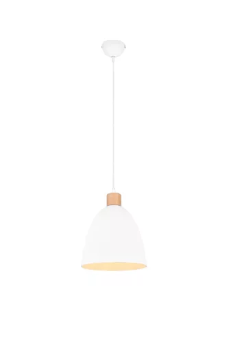 Trio JAGGER R30681031 függeszték