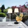 Trio Martinez R54086132 akkumulátoros asztali lámpa