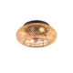Trio LILLESAND R67302126 ventilátoros lámpa